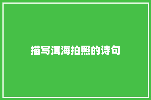 描写洱海拍照的诗句
