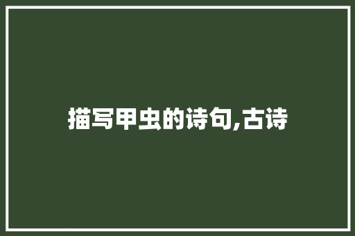 描写甲虫的诗句,古诗 简历模板