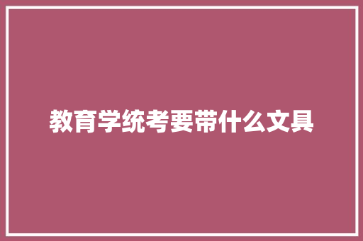 教育学统考要带什么文具