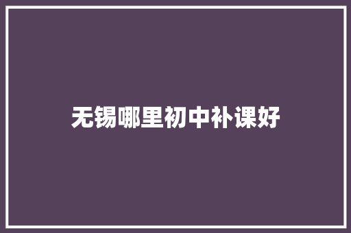 无锡哪里初中补课好