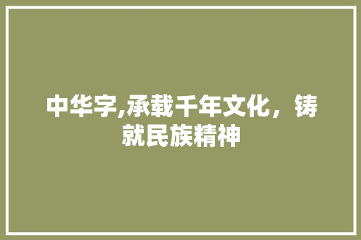 中华字,承载千年文化，铸就民族精神