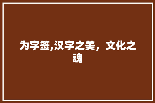 为字签,汉字之美，文化之魂