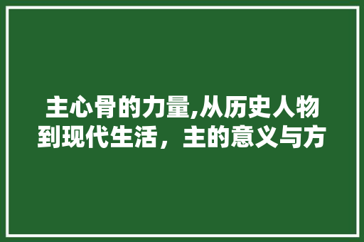 主心骨的力量,从历史人物到现代生活，主的意义与方法