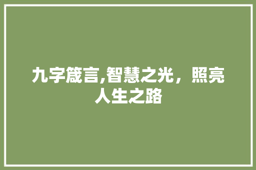 九字箴言,智慧之光，照亮人生之路