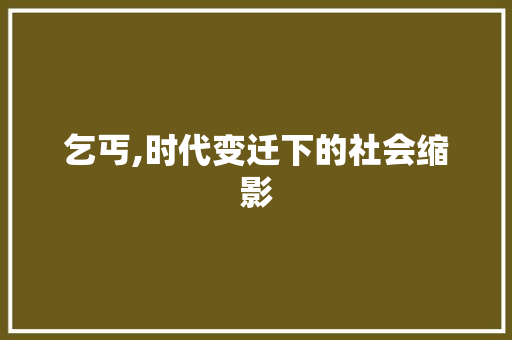 乞丐,时代变迁下的社会缩影