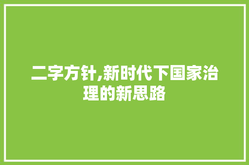 二字方针,新时代下国家治理的新思路 报告写作