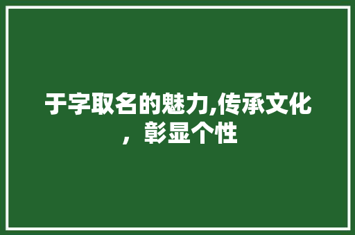 于字取名的魅力,传承文化，彰显个性