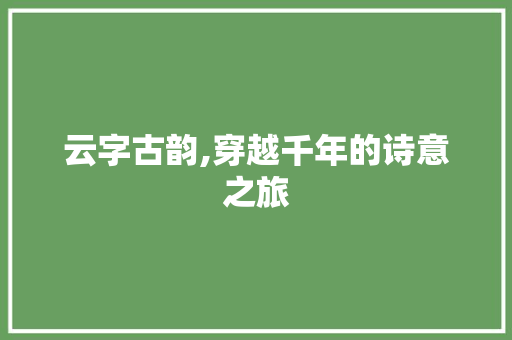 云字古韵,穿越千年的诗意之旅