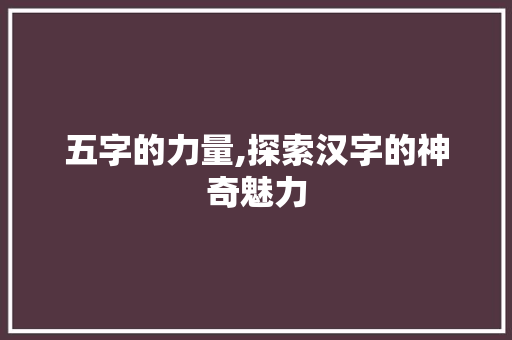 五字的力量,探索汉字的神奇魅力