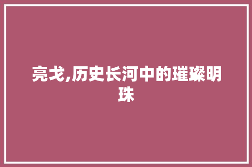 亮戈,历史长河中的璀璨明珠