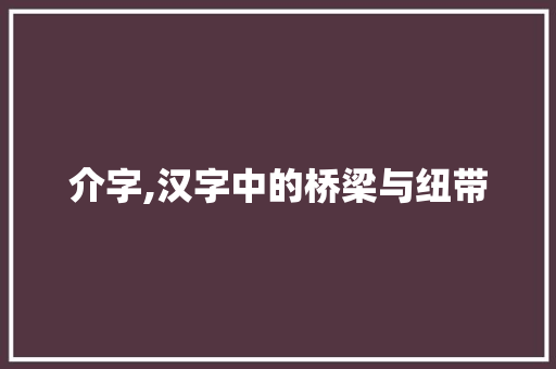 介字,汉字中的桥梁与纽带
