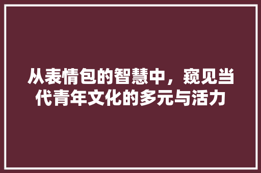 从表情包的智慧中，窥见当代青年文化的多元与活力