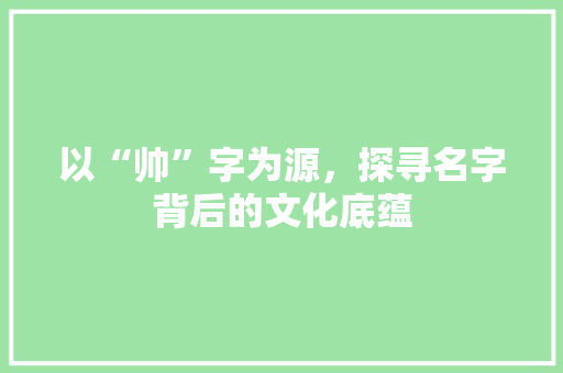 以“帅”字为源，探寻名字背后的文化底蕴 词汇积累