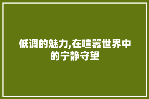 低调的魅力,在喧嚣世界中的宁静守望