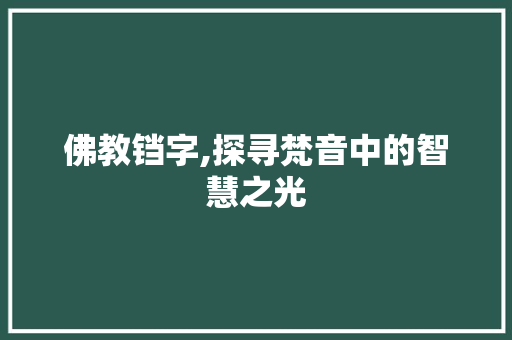 佛教铛字,探寻梵音中的智慧之光