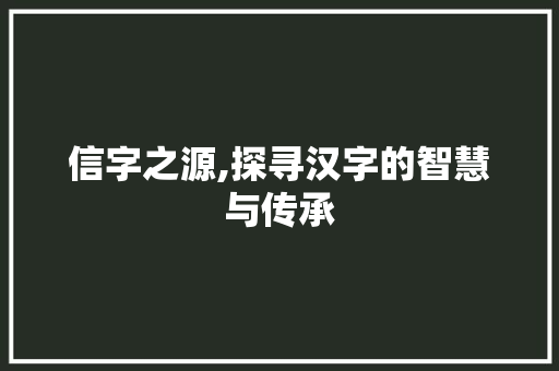 信字之源,探寻汉字的智慧与传承 词汇积累