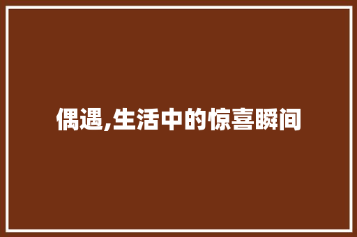 偶遇,生活中的惊喜瞬间