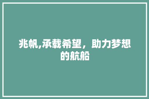 兆帆,承载希望，助力梦想的航船