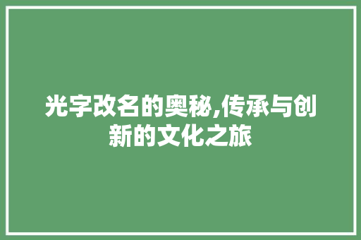 光字改名的奥秘,传承与创新的文化之旅
