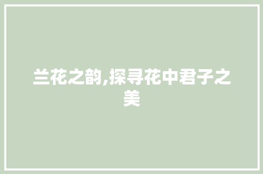 兰花之韵,探寻花中君子之美 简历模板