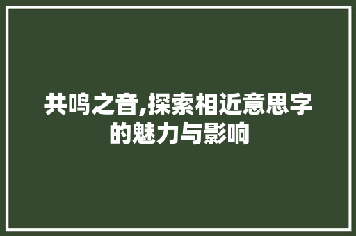 共鸣之音,探索相近意思字的魅力与影响 诗歌创作