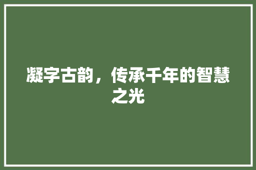 凝字古韵，传承千年的智慧之光