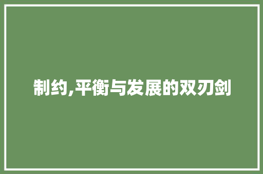 制约,平衡与发展的双刃剑