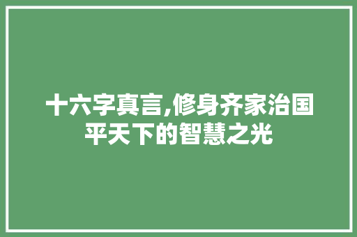 十六字真言,修身齐家治国平天下的智慧之光
