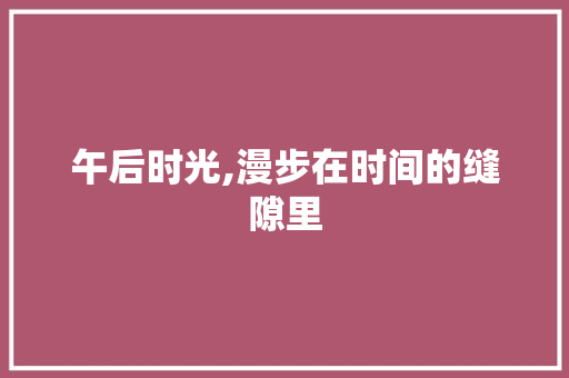 午后时光,漫步在时间的缝隙里