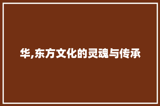 华,东方文化的灵魂与传承