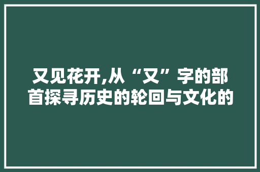 又见花开,从“又”字的部首探寻历史的轮回与文化的传承