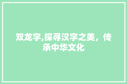 双龙字,探寻汉字之美，传承中华文化