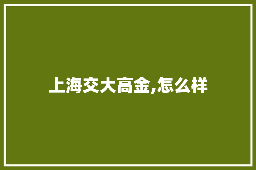 上海交大高金,怎么样