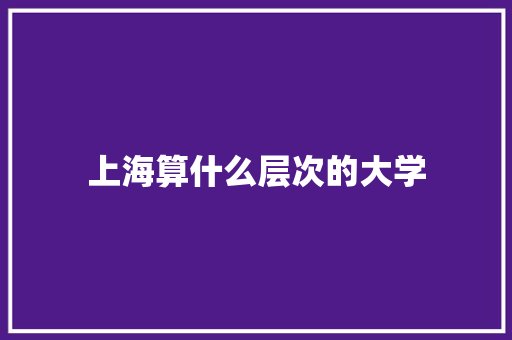 上海算什么层次的大学