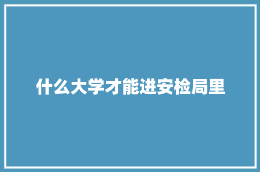 什么大学才能进安检局里