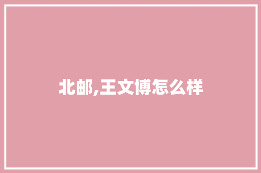 北邮,王文博怎么样