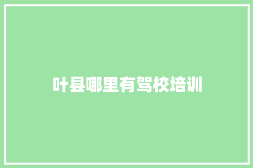 叶县哪里有驾校培训