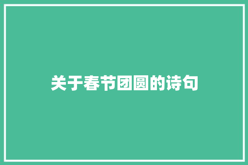 关于春节团圆的诗句 范文赏析