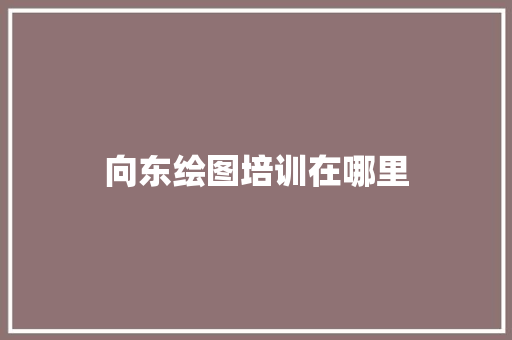向东绘图培训在哪里