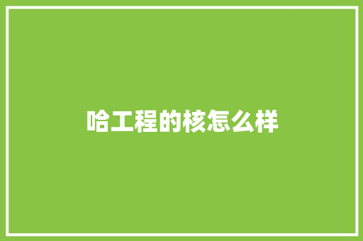 哈工程的核怎么样