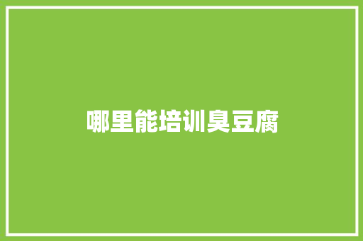 哪里能培训臭豆腐