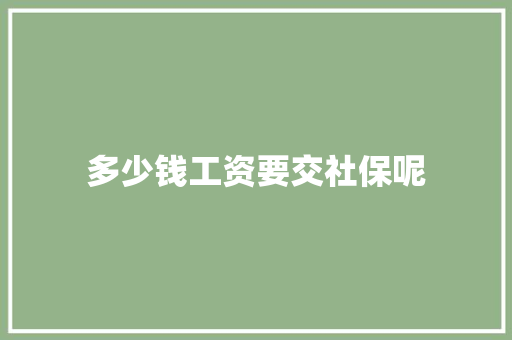 多少钱工资要交社保呢