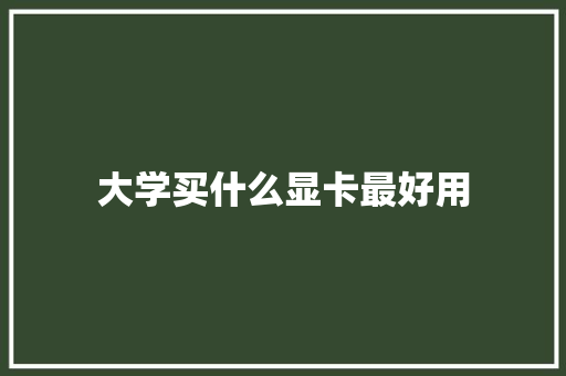 大学买什么显卡最好用 写作社区