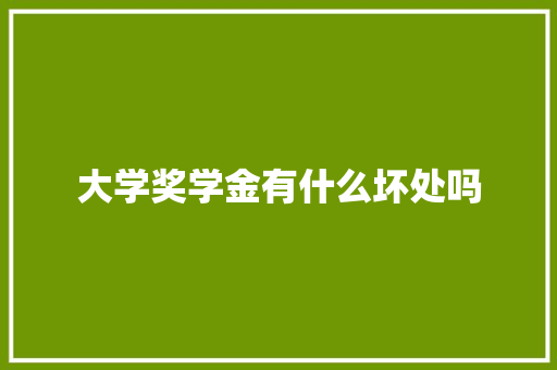 大学奖学金有什么坏处吗