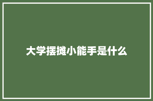 大学摆摊小能手是什么