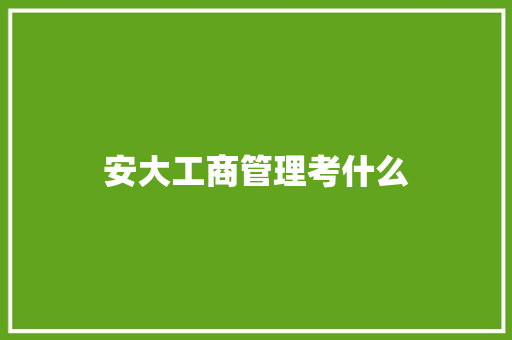 安大工商管理考什么