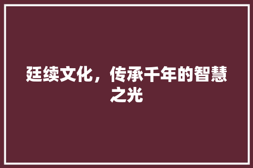 廷续文化，传承千年的智慧之光