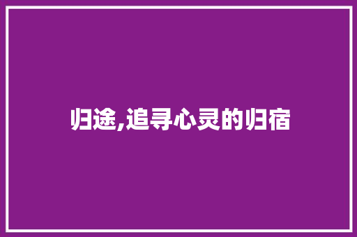 归途,追寻心灵的归宿