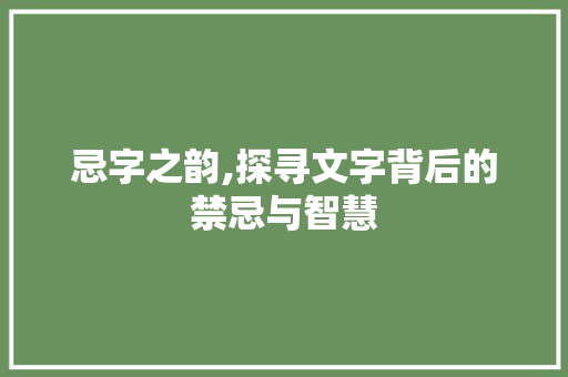 忌字之韵,探寻文字背后的禁忌与智慧