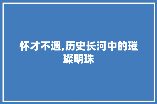 怀才不遇,历史长河中的璀璨明珠